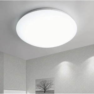 Led Ceiling Lamp 26w FSL